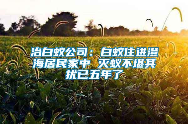 治白蟻公司：白蟻住進(jìn)澄海居民家中 滅蟻不堪其擾已五年了