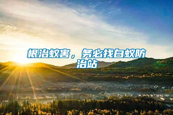 根治蟻害，務(wù)必找白蟻防治站