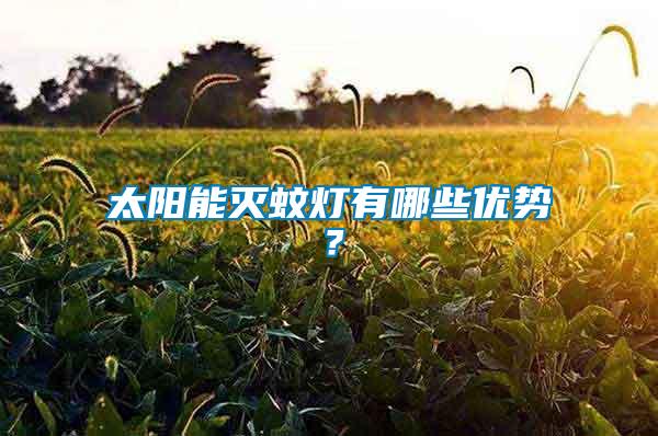 太陽(yáng)能滅蚊燈有哪些優(yōu)勢(shì)？