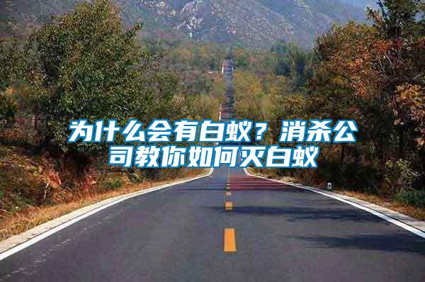 為什么會有白蟻？消殺公司教你如何滅白蟻