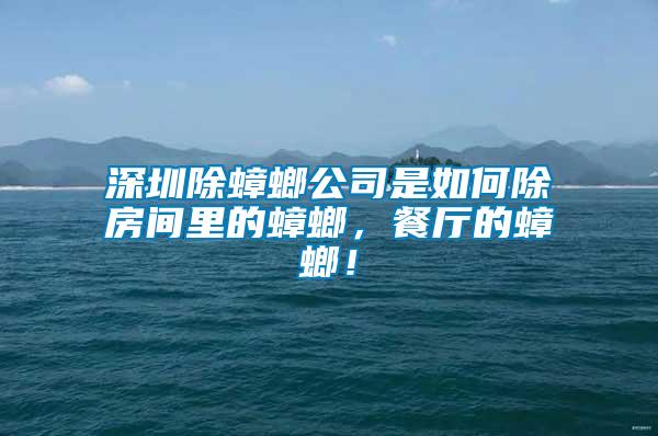 深圳除蟑螂公司是如何除房間里的蟑螂，餐廳的蟑螂！