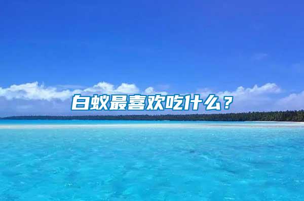 白蟻?zhàn)钕矚g吃什么？