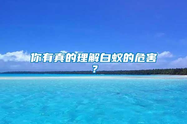 你有真的理解白蟻的危害？