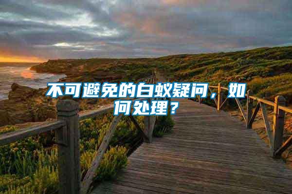 不可避免的白蟻疑問，如何處理？