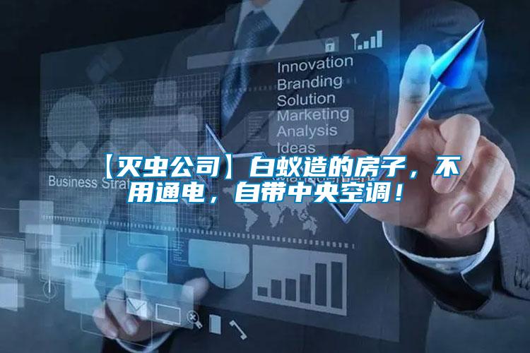 【滅蟲公司】白蟻造的房子，不用通電，自帶中央空調(diào)！
