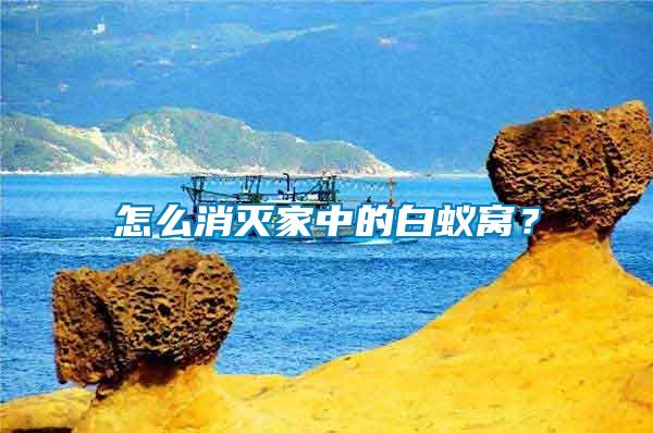 怎么消滅家中的白蟻窩？