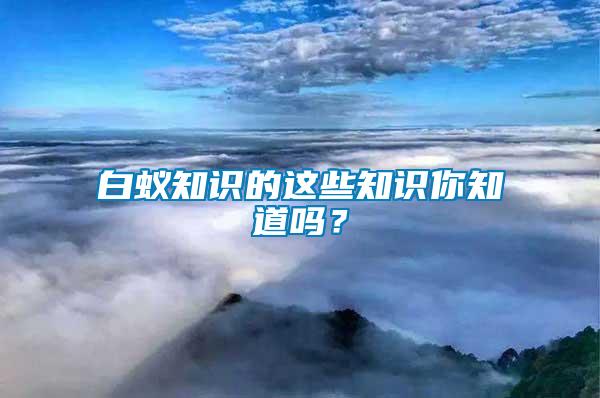 白蟻知識(shí)的這些知識(shí)你知道嗎？