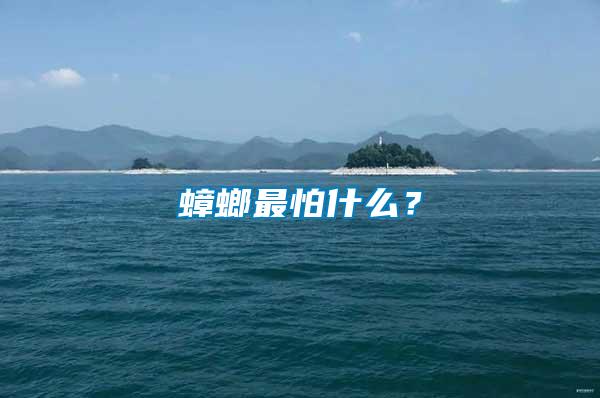 蟑螂最怕什么？