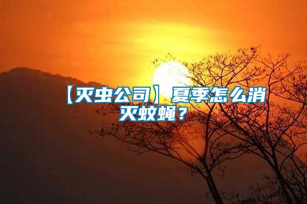 【滅蟲(chóng)公司】夏季怎么消滅蚊蠅？