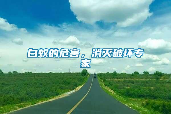 白蟻的危害，消滅破壞專家