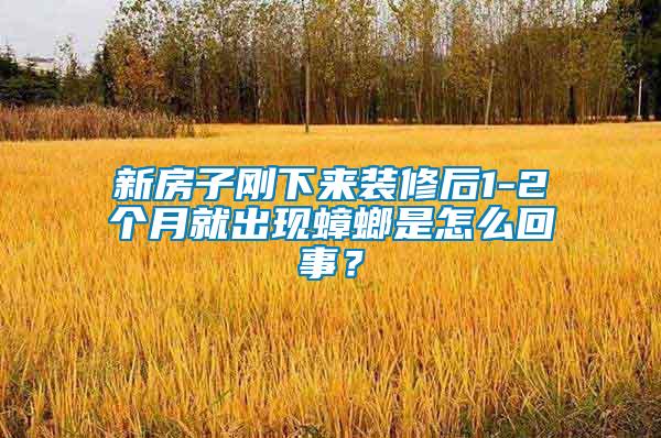 新房子剛下來裝修后1-2個(gè)月就出現(xiàn)蟑螂是怎么回事？