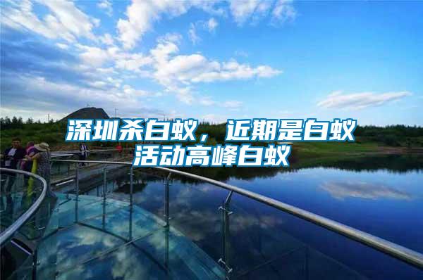 深圳殺白蟻，近期是白蟻活動(dòng)高峰白蟻