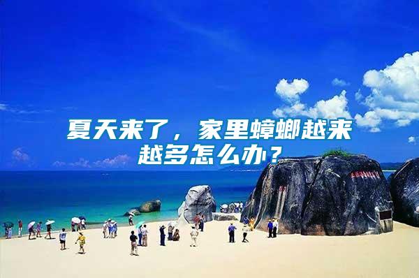 夏天來了，家里蟑螂越來越多怎么辦？