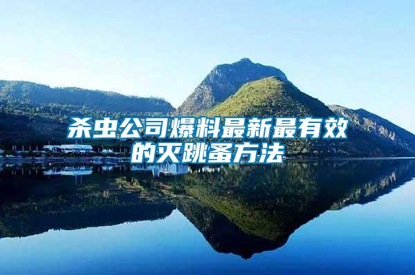 殺蟲(chóng)公司爆料最新最有效的滅跳蚤方法