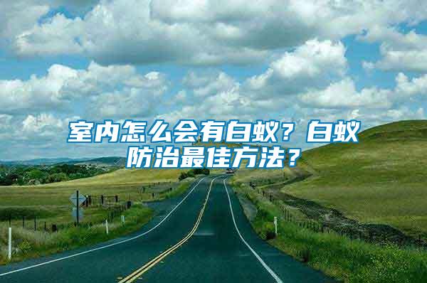 室內怎么會有白蟻？白蟻防治最佳方法？