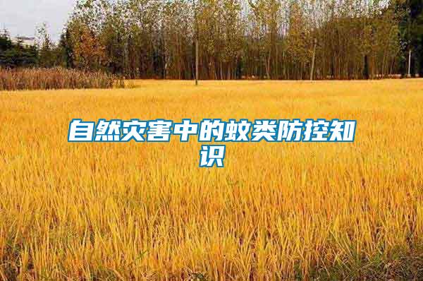 自然災(zāi)害中的蚊類防控知識