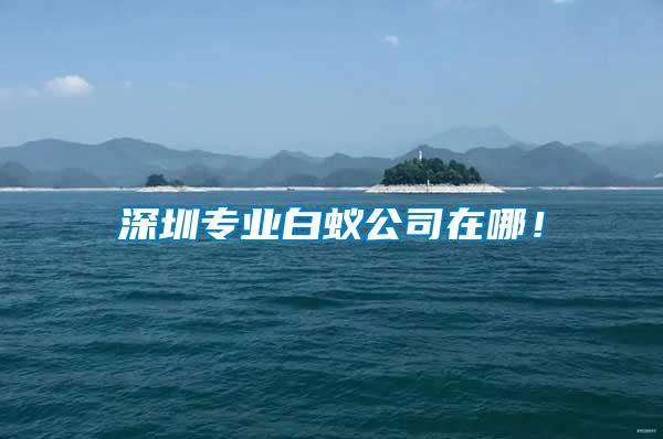 深圳專業(yè)白蟻公司在哪！