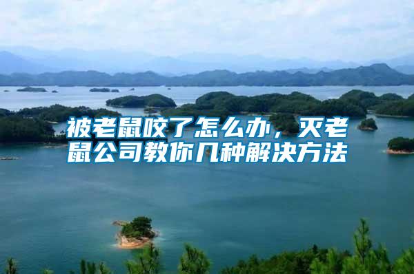 被老鼠咬了怎么辦，滅老鼠公司教你幾種解決方法