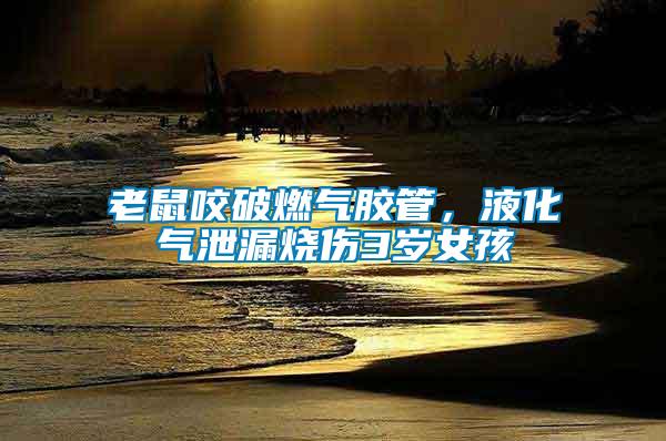 老鼠咬破燃?xì)饽z管，液化氣泄漏燒傷3歲女孩