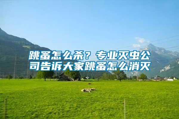 跳蚤怎么殺？專業(yè)滅蟲公司告訴大家跳蚤怎么消滅