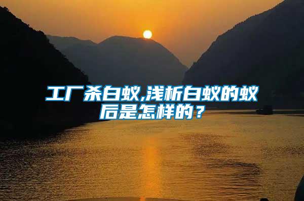 工廠殺白蟻,淺析白蟻的蟻后是怎樣的？