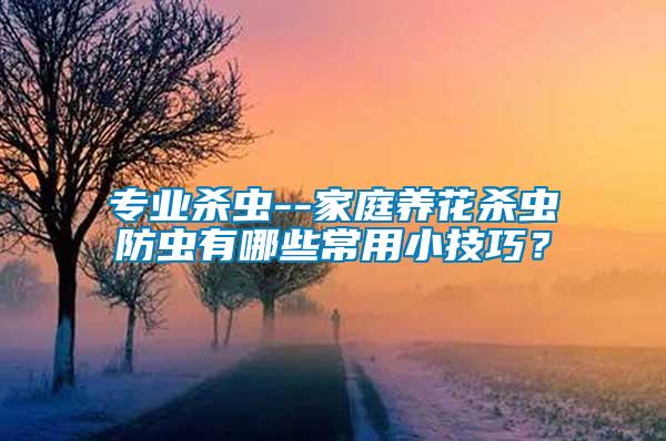 專業(yè)殺蟲--家庭養(yǎng)花殺蟲防蟲有哪些常用小技巧？