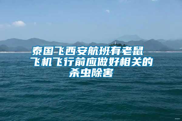 泰國(guó)飛西安航班有老鼠 飛機(jī)飛行前應(yīng)做好相關(guān)的殺蟲除害
