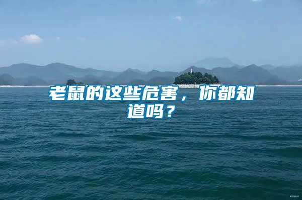 老鼠的這些危害，你都知道嗎？