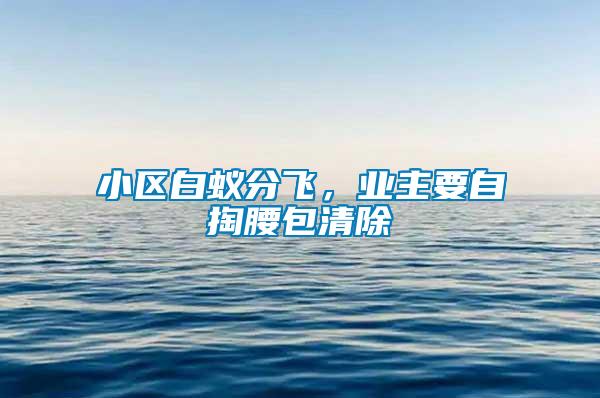 小區(qū)白蟻分飛，業(yè)主要自掏腰包清除