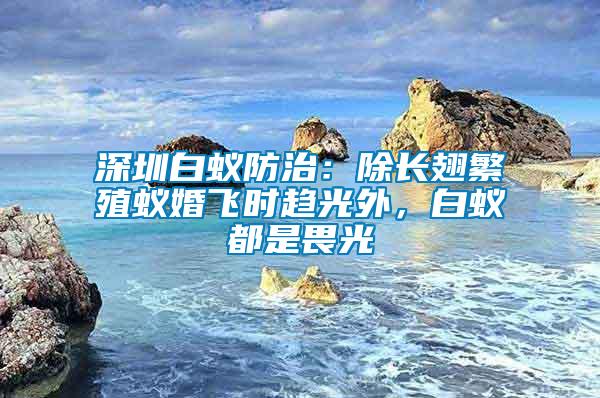 深圳白蟻防治：除長(zhǎng)翅繁殖蟻婚飛時(shí)趨光外，白蟻都是畏光