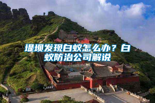 堤壩發(fā)現(xiàn)白蟻怎么辦？白蟻防治公司解說
