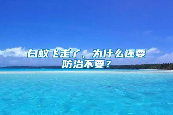 白蟻飛走了，為什么還要防治不要？