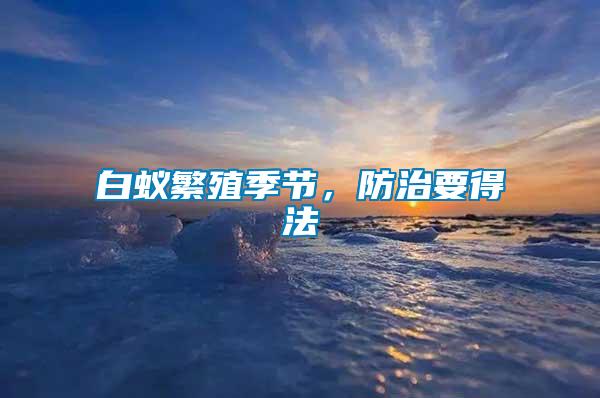 白蟻繁殖季節(jié)，防治要得法