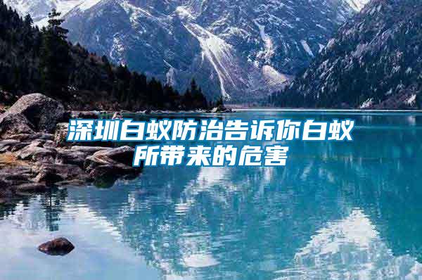 深圳白蟻防治告訴你白蟻所帶來(lái)的危害