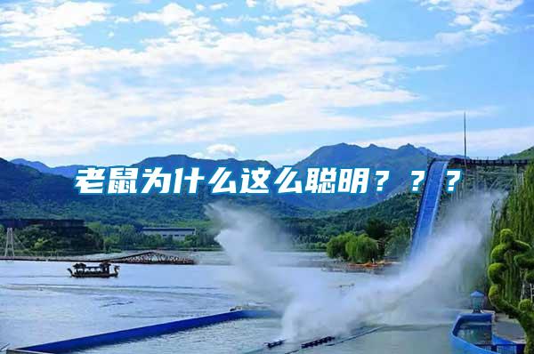 老鼠為什么這么聰明？？？
