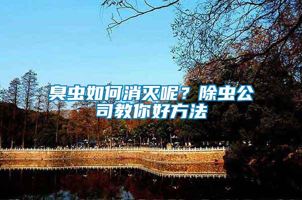 臭蟲(chóng)如何消滅呢？除蟲(chóng)公司教你好方法
