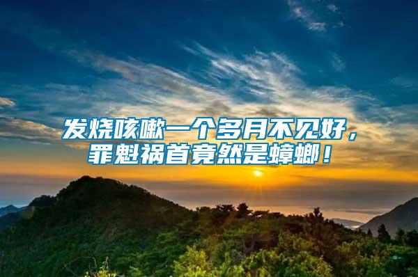 發(fā)燒咳嗽一個(gè)多月不見好，罪魁禍?zhǔn)拙谷皇求耄?/></p>
             <p style=