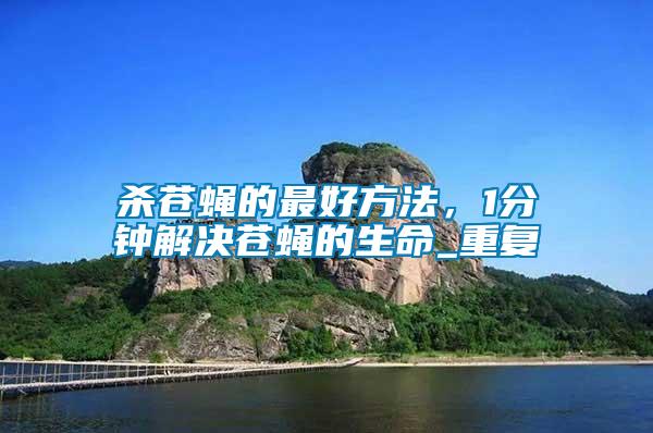 殺蒼蠅的最好方法，1分鐘解決蒼蠅的生命_重復