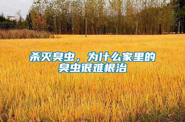 殺滅臭蟲，為什么家里的臭蟲很難根治