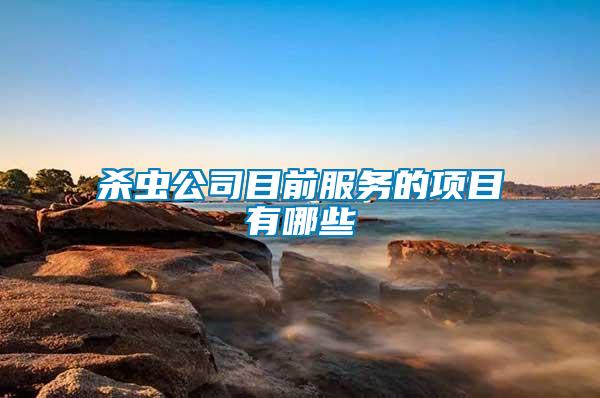 殺蟲(chóng)公司目前服務(wù)的項(xiàng)目有哪些