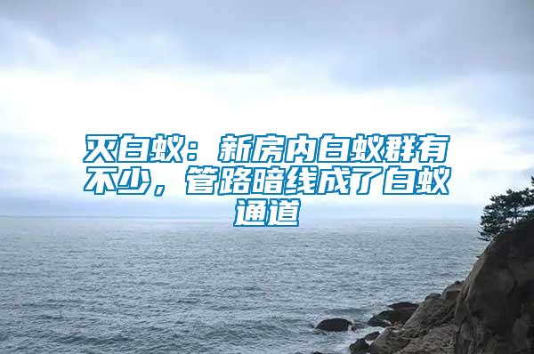 滅白蟻：新房?jī)?nèi)白蟻群有不少，管路暗線成了白蟻通道