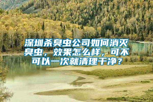 深圳殺臭蟲公司如何消滅臭蟲，效果怎么樣，可不可以一次就清理干凈？