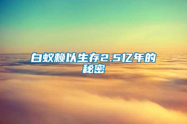 白蟻賴(lài)以生存2.5億年的秘密