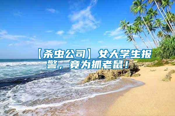 【殺蟲公司】女大學(xué)生報(bào)警，竟為抓老鼠！