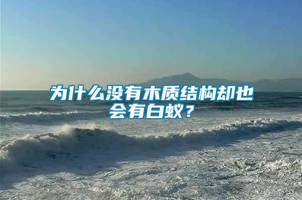 為什么沒有木質(zhì)結(jié)構(gòu)卻也會有白蟻？