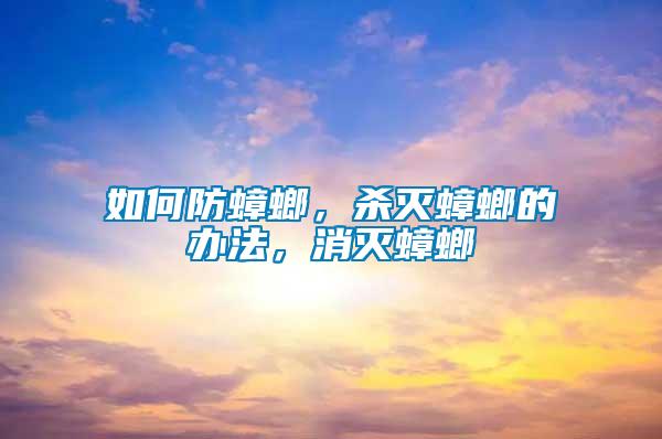 如何防蟑螂，殺滅蟑螂的辦法，消滅蟑螂