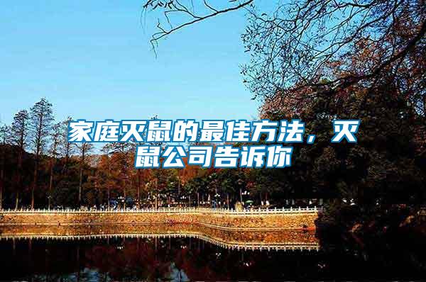 家庭滅鼠的最佳方法，滅鼠公司告訴你