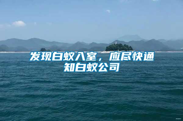 發(fā)現(xiàn)白蟻入室，應(yīng)盡快通知白蟻公司