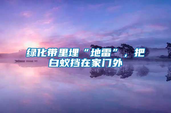 綠化帶里埋“地雷”，把白蟻擋在家門外