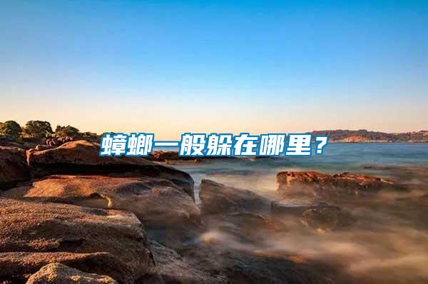 蟑螂一般躲在哪里？